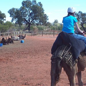 Camel Ride