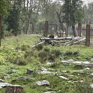 Eurasian brown bear exhibit