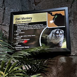 Sep. 2025 - Daytona Aquarium - Owl Monkey Signage