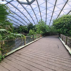 Mangrove - Bridge over manatee creek