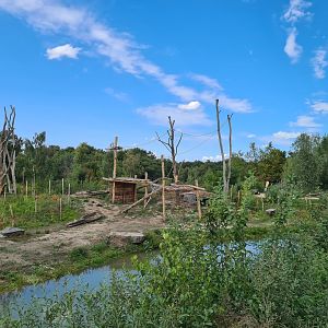 Newly refurbished Gorilla enclosure