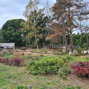 Black rhinoceros enclosure