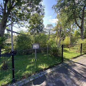 White faced saki enclosure