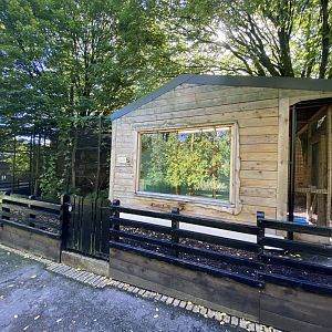 Cotton top tamarin house and enclosure
