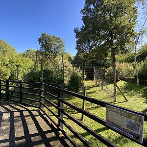 Ring tailed lemur enclosure image 1