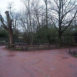 View in Australian area - Accesses to the Emu, Eastern grey kangaroo, Swamp wallaby and Tasmanian devil viewing area, 2024-01-01