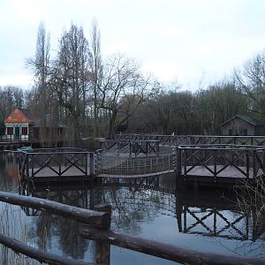View in Australian area - Boardwalks next to the cassowary exhibits, 2024-01-01