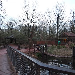 View in Australian area - Emu/Kangaroo/Wallaby/Tasmanian devil viewing shelter and Tasmanian devil house and exhibit, 2024-01-01