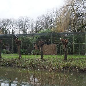 Off-show aviaries seen from the Australian area, 2024-01-01