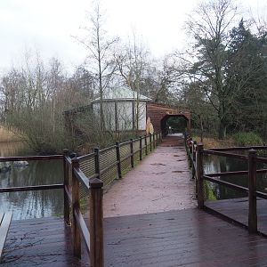 Australian area - Koala house and walkway, 2024-01-01