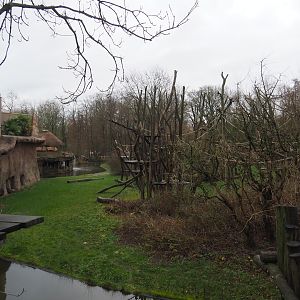 Bonobo island, 2024-01-01