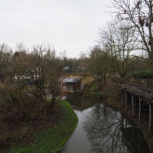 Bonobo island and viewing areas, 2024-01-01