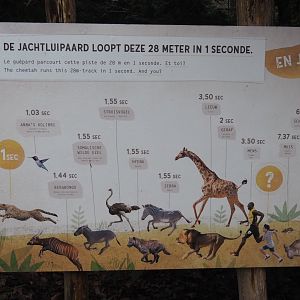 Animal speeds sign next to running course for children, 2024-01-01