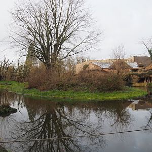 Bonobo island, 2024-01-01