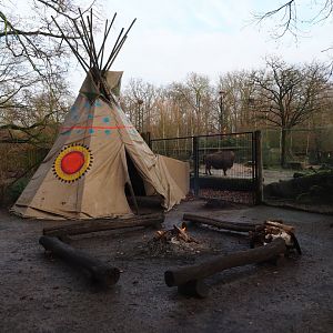 First Nations camp area next to American Plains bison and Rocky Mountain wapiti exhibit, 2024-01-01