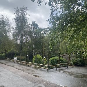 Marabou enclosure 030925