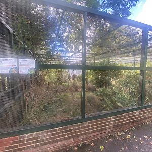 Cottage Aviary 030925