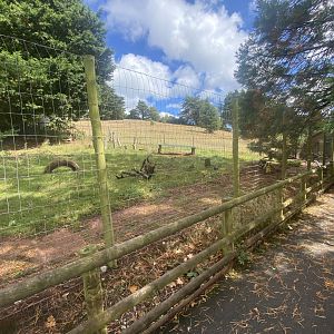 Collared peccary enclosure 030925