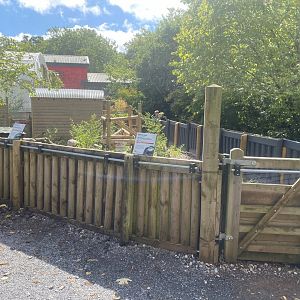 Striped skunk enclosure 030925