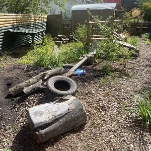 Striped skunk enclosure 030925
