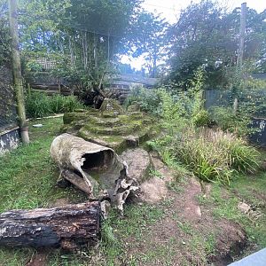 Outdoor echidna/potoroo exhibit 030925