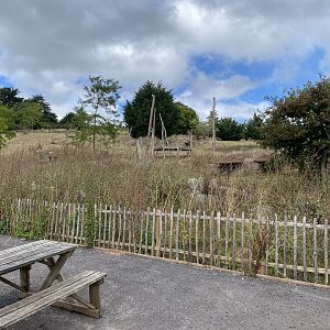 Proposed Hamadryas baboon exhibit 030925