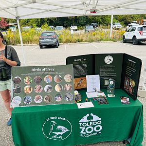 The Toledo Zoo was there (Lake Erie Metropark Hawkfest, Wayne County, MI, 9/21/25)