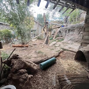 Asian highlands rotation habitat