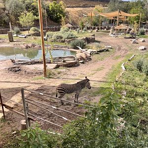 Part of African mixed species exhibit