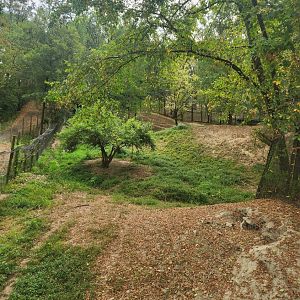 Wildlife Prairie Park - American Black Bear enclosure