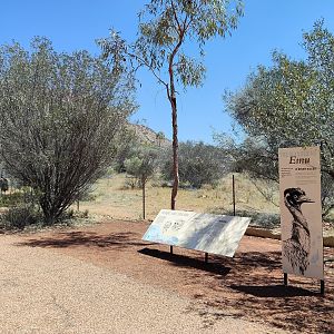 Emu enclosure