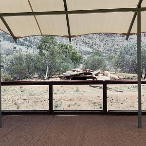 Dingo enclosure