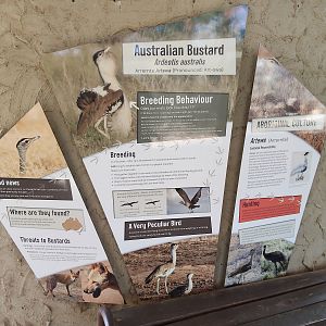 Australian Bustard signage