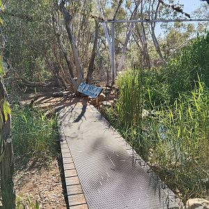 Waterhole aviary