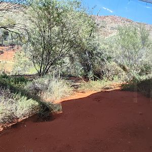 Spinifex Grasslands aviary