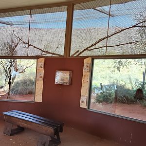 Spinifex Grasslands aviary