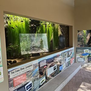 Aquariums