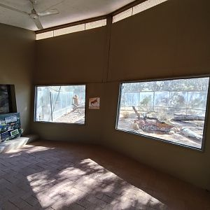Perentie (Varanus giganteus) enclosure
