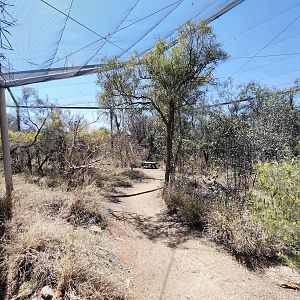 Living Woodlands aviary
