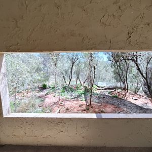 Living Woodlands aviary