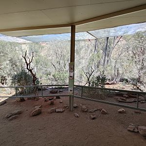 Woodlands Communities aviary