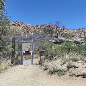 Woodlands Communities aviary