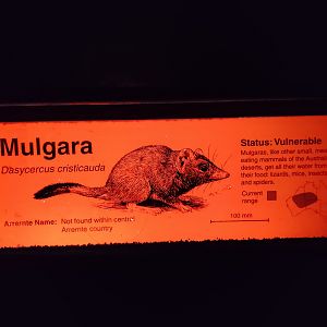 Example of Nocturnal House signage