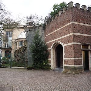 Mandrill exhibit and exit of the Small Monkey House, 2024-02-17