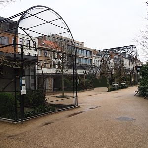 Complex of reconstructed 1850's aviaries, 2024-02-17