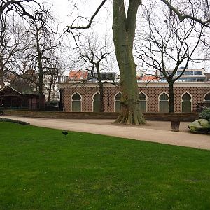 Moorish Temple (Okapi House) and North American porcupine exhibit, 2024-02-17