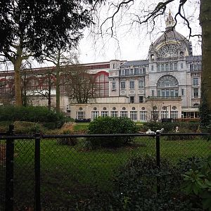 Flamingo exhibit (temporarily with Dalmatian pelicans at the time), Grand Café Flamingo and Antwerp Central Station, 2024-02-17