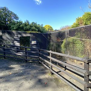 Golden lion tamarin enclosure