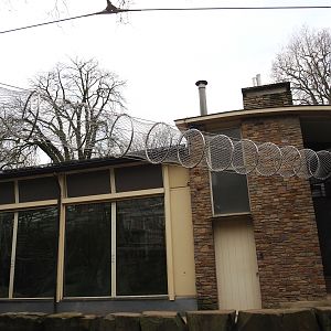 Side of the Ape House with gorilla indoor exhibit viewing windows and tunnel for Hamlyn's monkeys, 2024-02-17