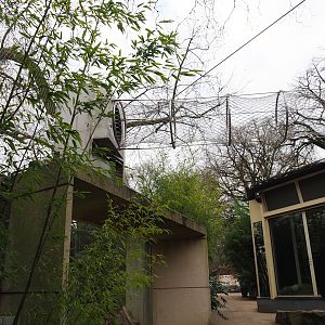 Gorilla exhibit viewing area, walkway, gorilla indoor exhibit viewing windows and tunnel for Hamlyn's monkeys, 2024-02-17